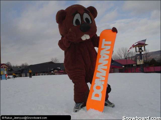beaver2seanny.jpg